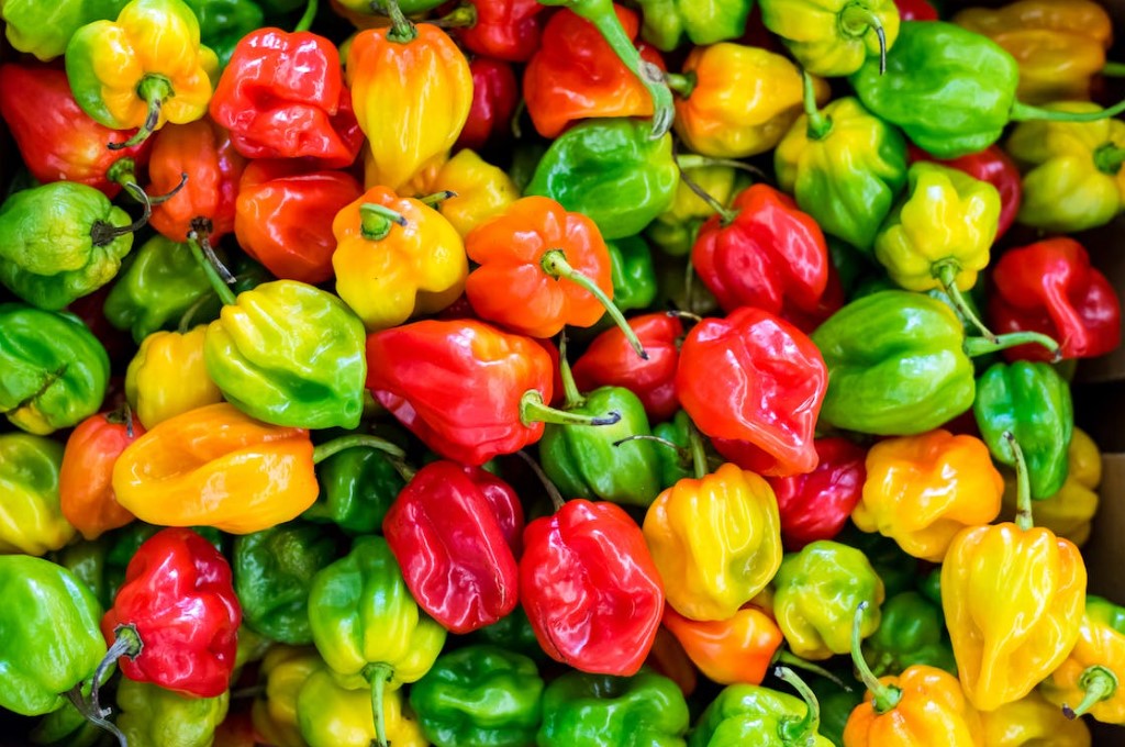 Pimenta Habanero