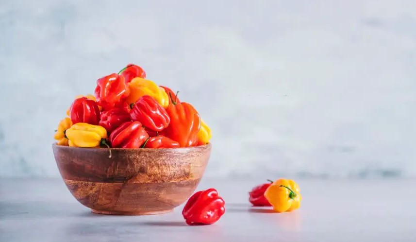 Pimenta Scotch Bonnet