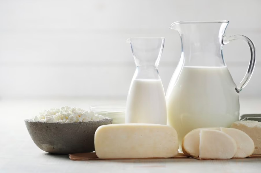 O que é lactose e como ela afeta o organismo?